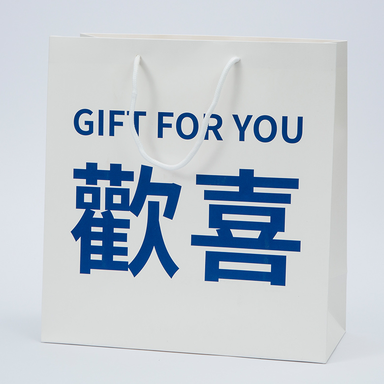 Paper Bag for Shopping Bag