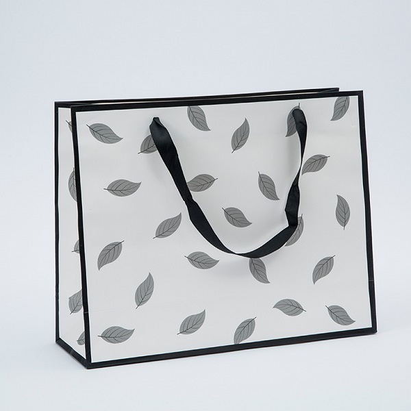 Paper Gift Bag