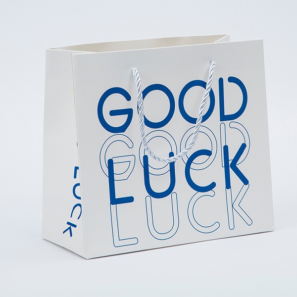 Gift Paper Bag Shopping Bag Hand Bag